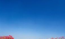 四月到来，向客户问候——发一条短信，展示你关心和重视！