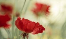 发自内心的感恩友情以及爱情的句子，表达真情实感和情绪变化的说说