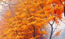 秉持人间至真之道:值得长期积累的触动心灵的优美句子,关于亲情的感人故事与温暖思考