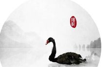 深情厚谊，伴我成长：描绘同学间默契友谊的表达