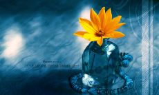 分享一些今天值得发朋友圈的精美、富有启发性的句子!