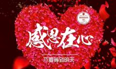 一百句感恩教师的小句子，让我们一起表达对伟大的教育工作者的感恩之情