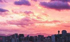 一切与幸福有关的表达:用快乐的语汇书写的句子合集