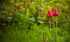 那些超越时间与空间的,无法割舍的亲情:一个描绘亲情永恒的句子