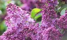 探讨补充句子对于传承血脉亲情的重要性