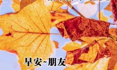 一份令人愉悦的美好早晨问候:美丽句子赠送