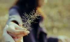 伤感离婚句子大全：感受离婚带来的情感压力，倾听内心的悲伤与痛楚，表达出真实的情感感受