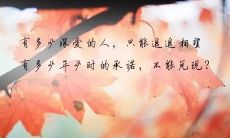 一起来感受秋天的萧索情怀,分享那些令人沉醉的伤感句子吧!