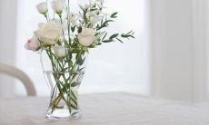 探讨亲情价值与意义：从亲情的影响力到人际关系的建立，探寻家庭成员之间深厚的情感纽带与生命共同体意识