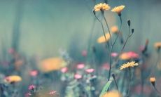 如何化解分手带来的创伤?让心痛缓解的句子推荐!