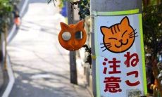 一同走过旅途,分享欢乐无穷的愉快旅游体验