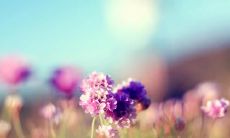 永恒流转的时光中,亲情永存的美好句子