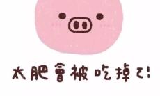 、温馨、励志、正能量,让你的微信朋友圈充满快乐和美好的句子!