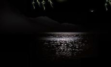 如何应对父母对我们的失望之情，尝试化解压力和改善自我认知：亲密关系中的挑战和成长