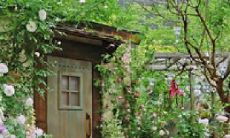 探讨亲情和感情之间微妙的差别:从家庭记忆到爱情珍藏的句子探究