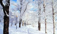 聚合金字塔下的真情:共享亲情的大家庭呈现