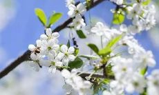 透过深情的文字，向自己倾诉内心情绪的自我表达：一篇感言致我自己