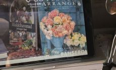 欢乐无限！盘点抖音调皮可爱、幽默满满的搞笑句子