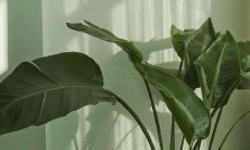 秋季问候的短信:用文字传递温馨,传送思念的季节问候