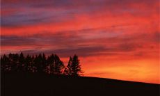 通过最新的励志说说，我们向自己传送了这样一个信息：不经过努力，就不会有任何改变，我们需要努力赚钱，才能得到我们想要的生活