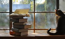 超级有趣的、让你想读一整天的名人名言，关于书籍的！