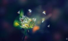 经典励志名言: 以四个字为主题的激励人心的格言和座右铭