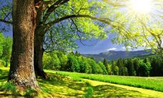 汇集精英团队的口号,每一个都有助于打造卓越团队策略的全方位指南!