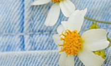 探寻2021年精美语句:从新的一年开始潜心探索优美表达之道