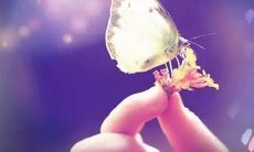 离别时的句子:分手吗?不,是快手的句子友情分离了