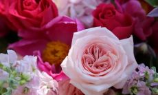 为幼儿园老师致以感谢的长句赞颂