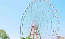 令人愉悦的、带着幸福感的,可以帮助您保持积极心态的人生句子集合!
