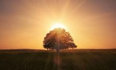 令人深感失望和失望至极的描述某人的句子