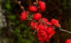 提供应对不同场合的关心问候语短信大全，让你在交际中更得体、更得心应手！