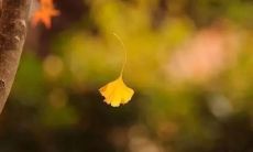 提供公司问候的可自定义短信模板，用于发送个性化问候和祝福的效果出色的工具