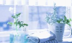 曲折动人的文艺句子,充满温情脉脉的亲情感受