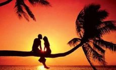 感人至深的20句抒情句子,表达关于爱情的深情话语