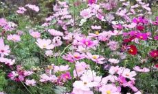 英语主题口号：激励人心的英文口号，鼓舞前行的励志语录和振奋人心的名言!