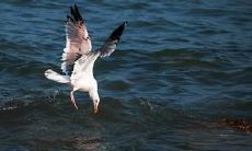 一篇收集了多个唯美句子的文章,让你沉浸在美丽的形容词和优美的语言中