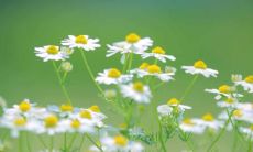 令人感慨的优美句子，表达出亲情的伟大及其无法衡量的价值