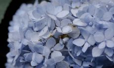 让人欢乐不断的沙雕与可爱自动回复:9条幽默搞笑句子,让您的聊天更加轻松愉快