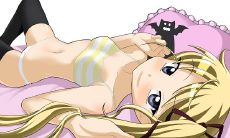 虽然胸部较小，但仍引以为豪且为国家节省布料！