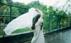 引起深刻共鸣和心灵震撼的令人痛彻心扉的言辞