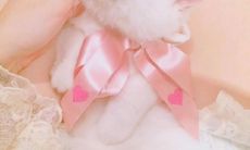 朋友圈中最受欢迎且鼓舞人心的经典励志心情语录推荐