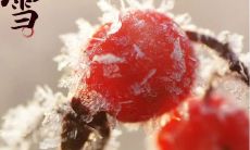 用古诗词描绘大雪节气的雪景，展现银装素裹、万物皆寂的幽静美景