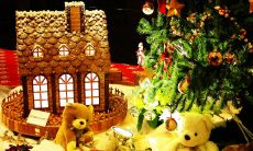 在这个平安夜，让我们相聚在彼此的温馨怀抱中，一起品味这份令人感动的节日情感