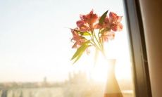 感受阳光普照心情美好的句子