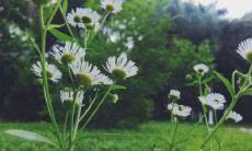 如何平衡亲情与工作,从而获得更多的幸福?