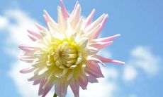 二十句最温馨动人的亲情话，展现最真挚幸福的家庭情感