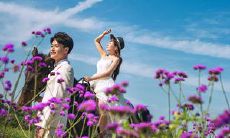 五月份发布的社交媒体动态,包含了我此时的心情、想法和生活经历