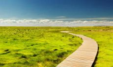 鲜血亲缘关系无法割舍的骨肉亲情——一个关于家庭纽带的表达